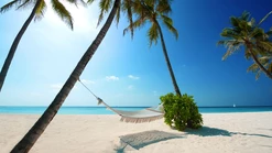 Vacation, 