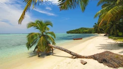Beach, 